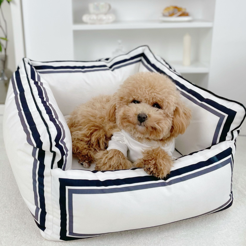 Chewnel Bed