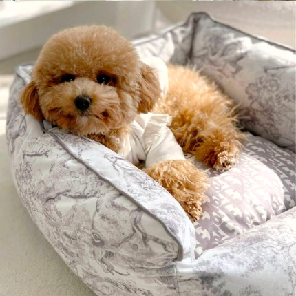 Dogior Bed - Gray
